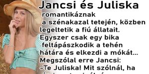 a nap vicce – Jancsi és Juliska esete a szénakazalban ..