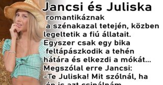 a nap vicce – Jancsi és Juliska esete a szénakazalban ..